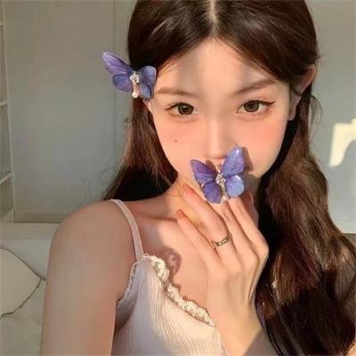 汽车女窃贼