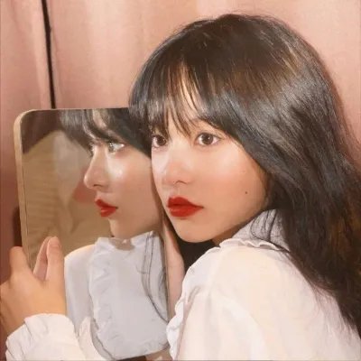 29片棕榈叶