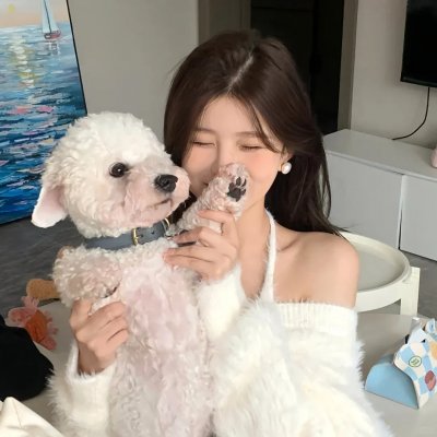 骄傲的马